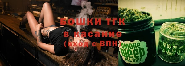 крисы Няндома