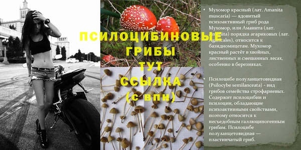крисы Няндома