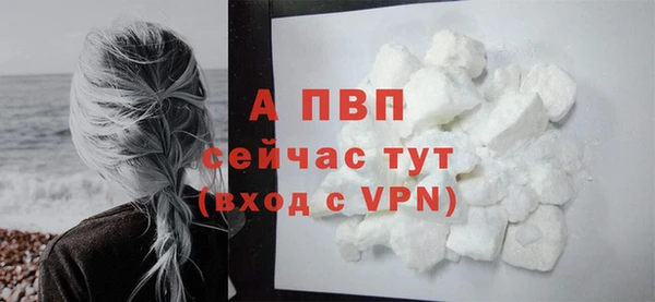 хмурый Куртамыш