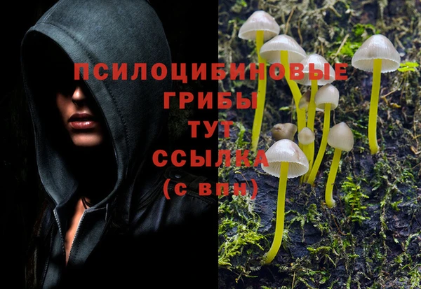крисы Няндома