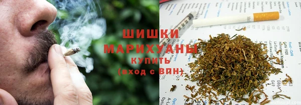 крисы Няндома