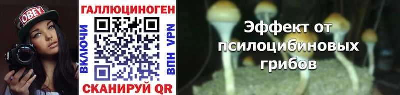 Галлюциногенные грибы Magic Shrooms  Рудня 
